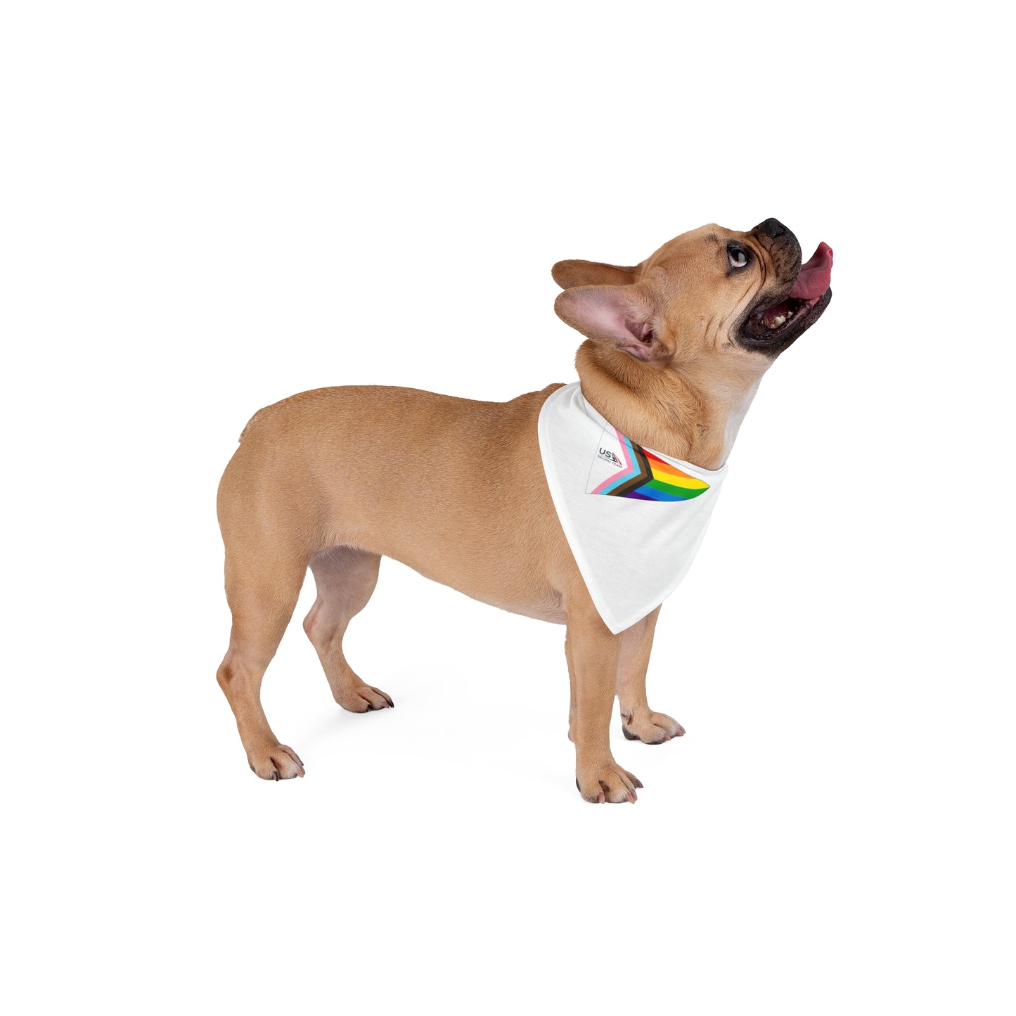 Pet Bandana (Pride - US Sailing Team)