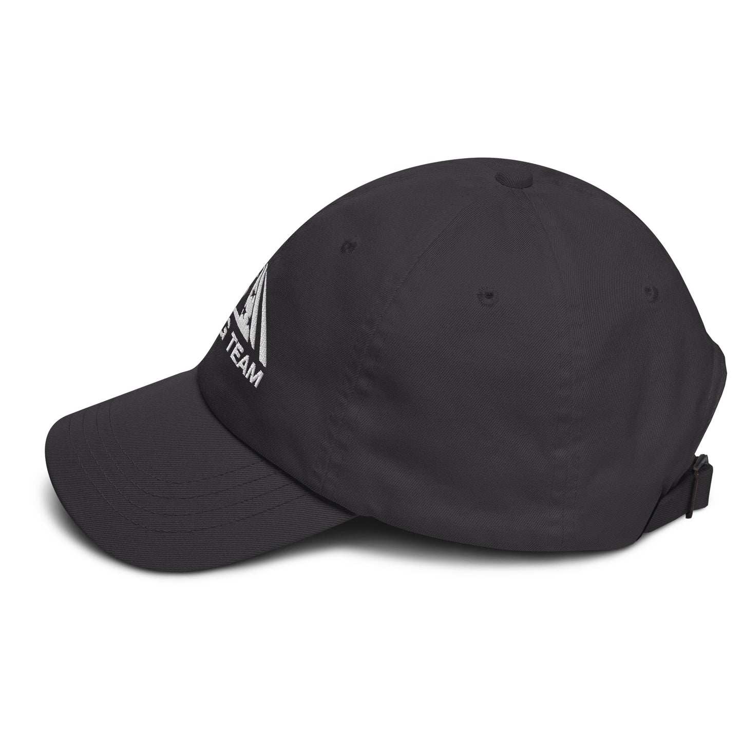 Dad Hat (US Sailing Team)